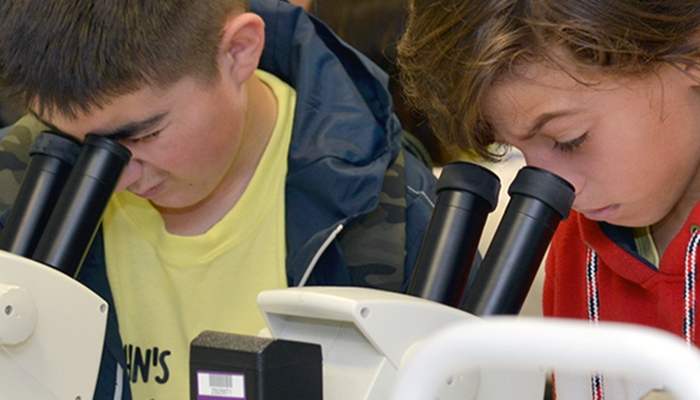 School children taking part in experiments at the Manchester Fly Facility.