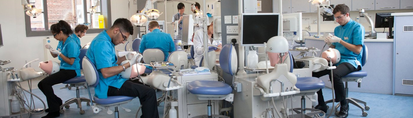 Dental students in the teaching lab.