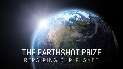 Climate change impact through 50,000 Actions and Living Lab nominated for an Earthshot prize