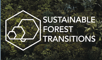 Sustainable Forest Transitions Project – PhD Studentships required