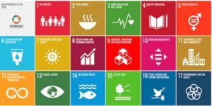 17 SDGs 