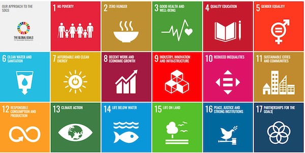 Our new microsite highlights how we are addressing the UN Sustainable Development Goals