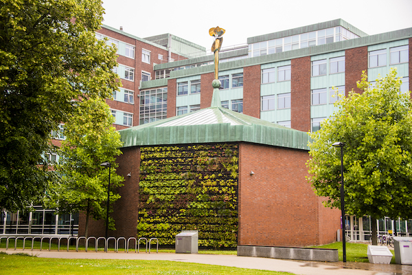 University becomes a founding member of new United Nations’ programme to reverse biodiversity decline