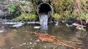 UK sewage in rivers