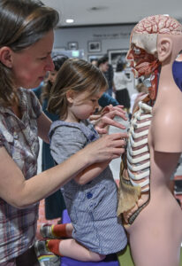 Community Festival Body Stand