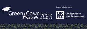 Green Gown poster