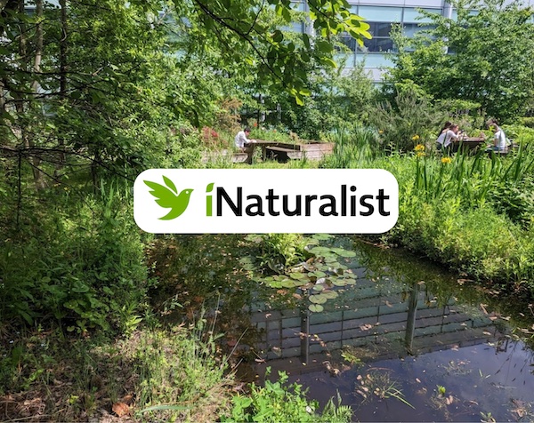 Monitoring wildlife on campus. We need your help!