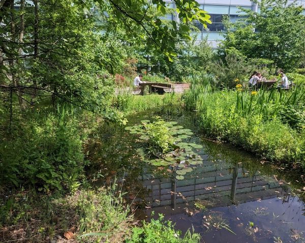 Bringing nature into our campus: Biodiversity events in Michael Smith quad