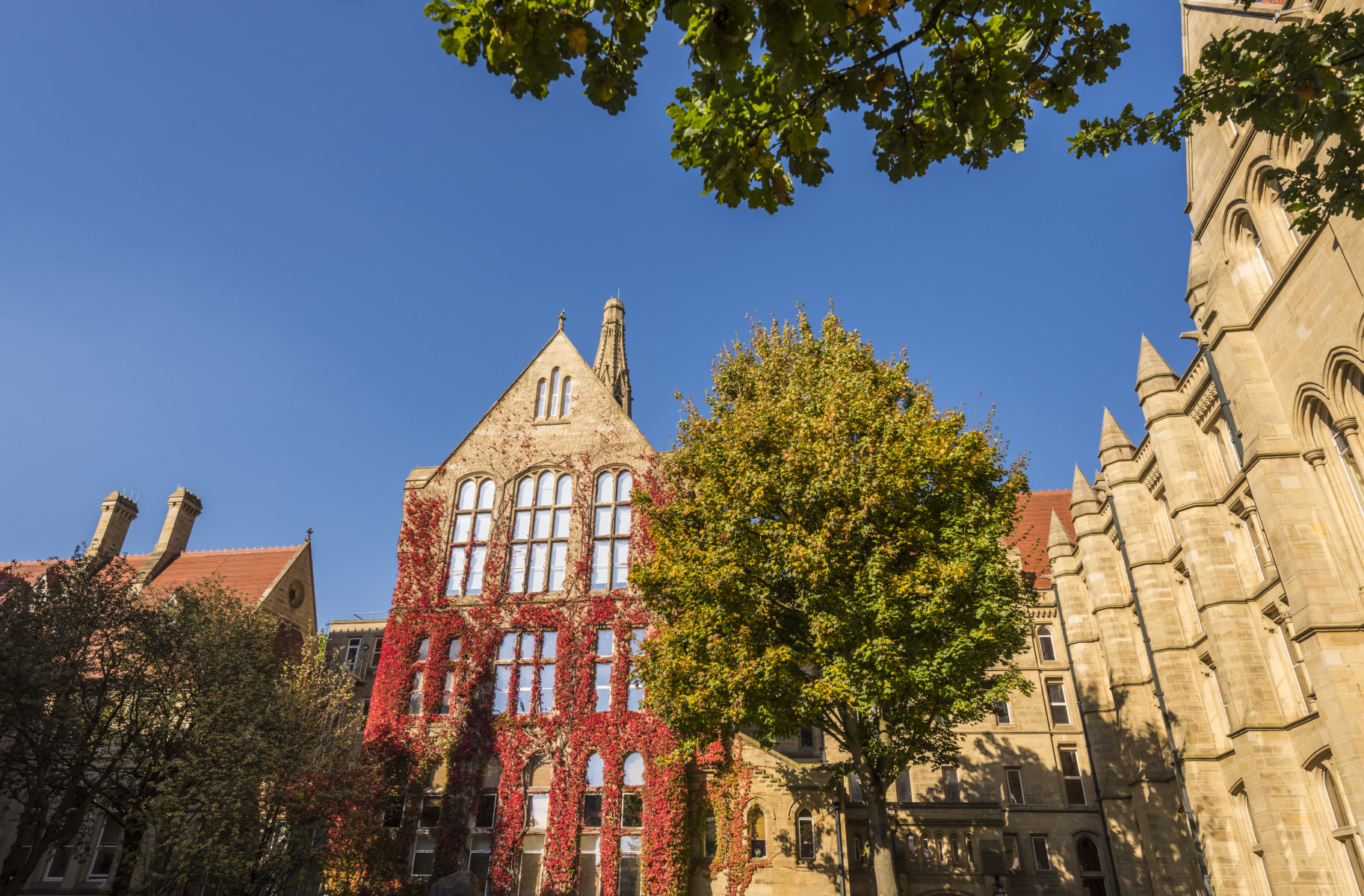 QS University campus