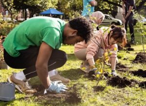 planting