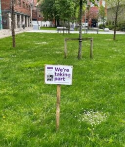 No Mow May: we’re taking part are you?