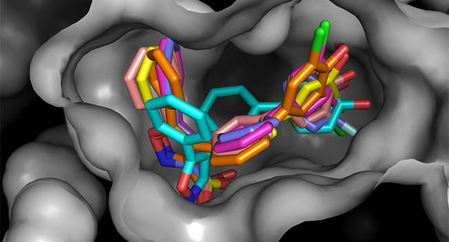 Bugs ‘n Drugs: An international student competition tackling antimicrobial resistance