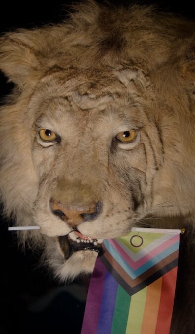 Celebrating Pride with Manchester Museum