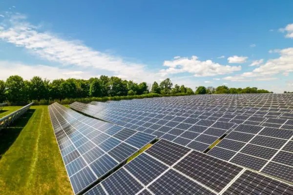 Medebridge solar farm: latest updates on our landmark renewable energy project 