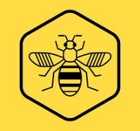 University launches free bus service trail to reduce Manchester’s congestion and emissions