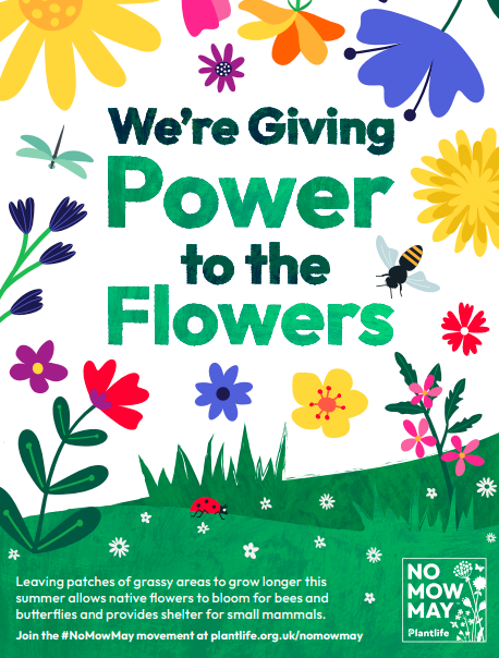 Supporting No Mow May across campus