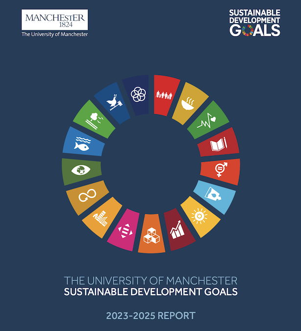 University contributes to UN Global Sustainability Forum