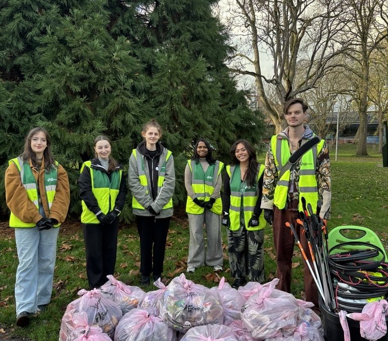 The hedgehog friendly action group litter-pick 