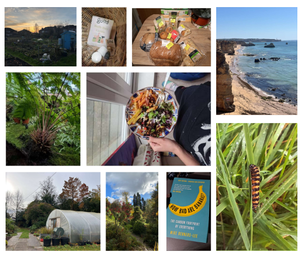 No Time to Waste: Log Your Sustainable Actions 