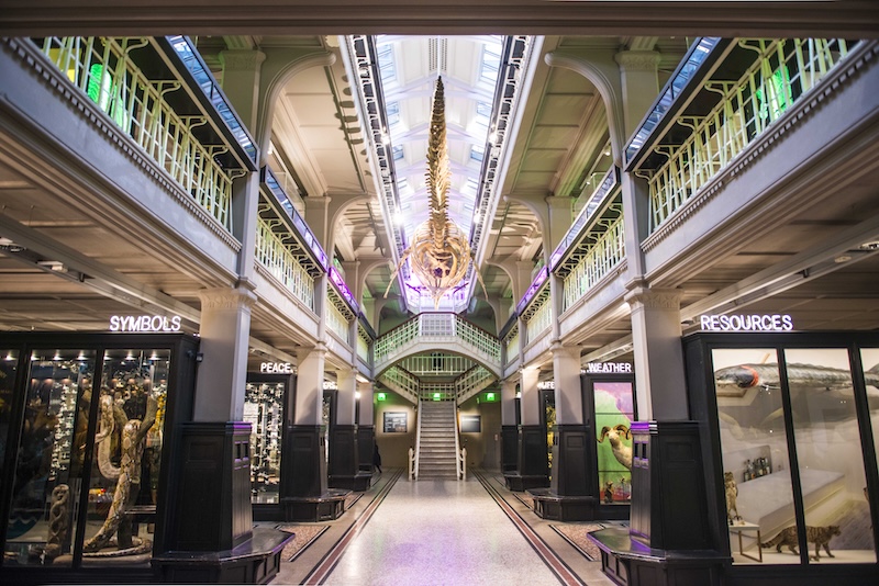 Can universities become the cultural anchors of their cities?